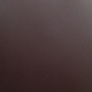 Meet your Posher, Bella